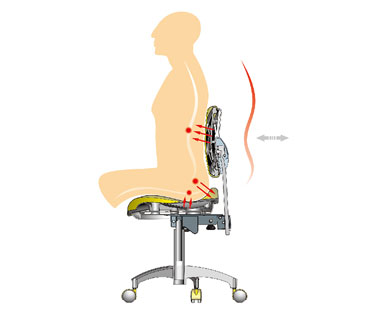 Characteristic Of D1 Doctor Stool: Ergonomically Designed